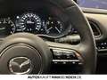 Mazda CX-30 2.5 e-SKYACTIV G Exclusive  AT Navi ACC LED Rot - thumbnail 17