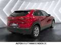 Mazda CX-30 2.5 e-SKYACTIV G Exclusive  AT Navi ACC LED Rot - thumbnail 5