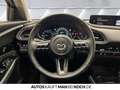 Mazda CX-30 2.5 e-SKYACTIV G Exclusive  AT Navi ACC LED Rot - thumbnail 10