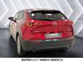 Mazda CX-30 2.5 e-SKYACTIV G Exclusive  AT Navi ACC LED Rot - thumbnail 4