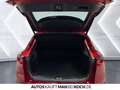 Mazda CX-30 2.5 e-SKYACTIV G Exclusive  AT Navi ACC LED Rot - thumbnail 15