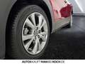 Mazda CX-30 2.5 e-SKYACTIV G Exclusive  AT Navi ACC LED Rot - thumbnail 16