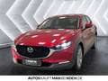 Mazda CX-30 2.5 e-SKYACTIV G Exclusive  AT Navi ACC LED Rot - thumbnail 3