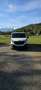 Renault Trafic 1,6dci120 3.0t Kastenwagen L2H1 - thumbnail 13