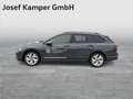 Volkswagen Golf Variant Business mHeV DSG Grau - thumbnail 2