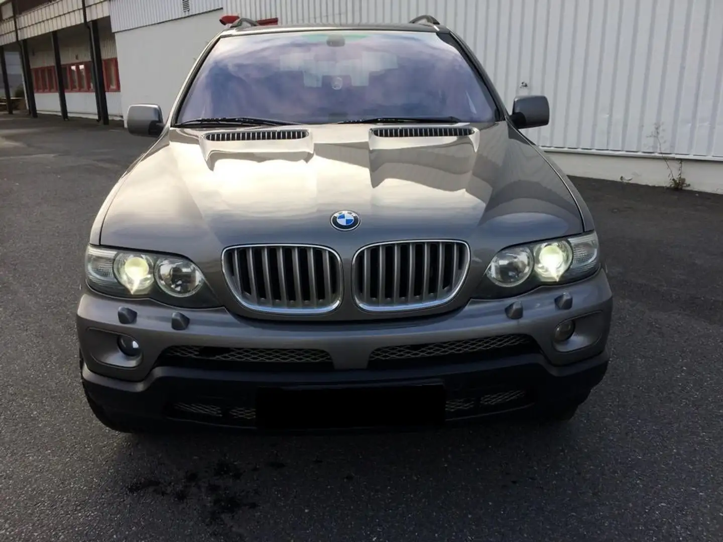 BMW X5 X5 3.0 dA Grey - 1