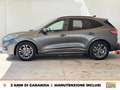 Ford Kuga 1.5 ecoblue st-line 2wd 120cv Gris - thumbnail 3