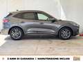 Ford Kuga 1.5 ecoblue st-line 2wd 120cv Gris - thumbnail 5