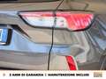 Ford Kuga 1.5 ecoblue st-line 2wd 120cv Gris - thumbnail 16