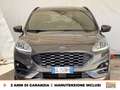 Ford Kuga 1.5 ecoblue st-line 2wd 120cv Gris - thumbnail 2