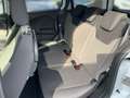 Ford Tourneo Courier 1.0 EcoBoost Trend Fernlichtass. Weiß - thumbnail 9