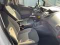 Ford Tourneo Courier 1.0 EcoBoost Trend Fernlichtass. Weiß - thumbnail 15