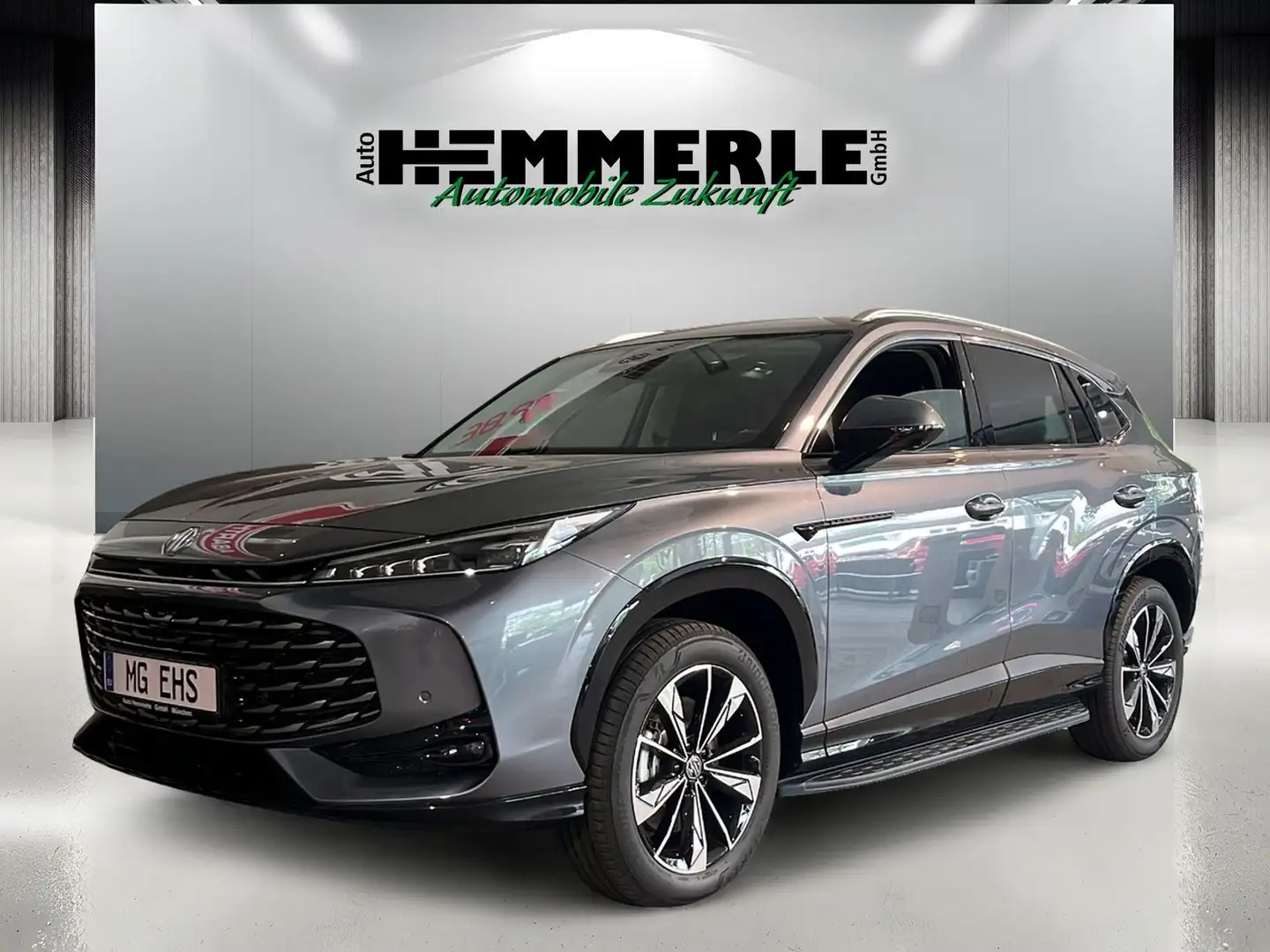 MG EHS LUXURY *NUR BEI FINANZIERUNG* Szürke - 1
