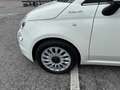 Fiat 500 Dolcevita 1.0 Hybrid 70cv AZIENDALE! Neopatentati! Bianco - thumbnail 5