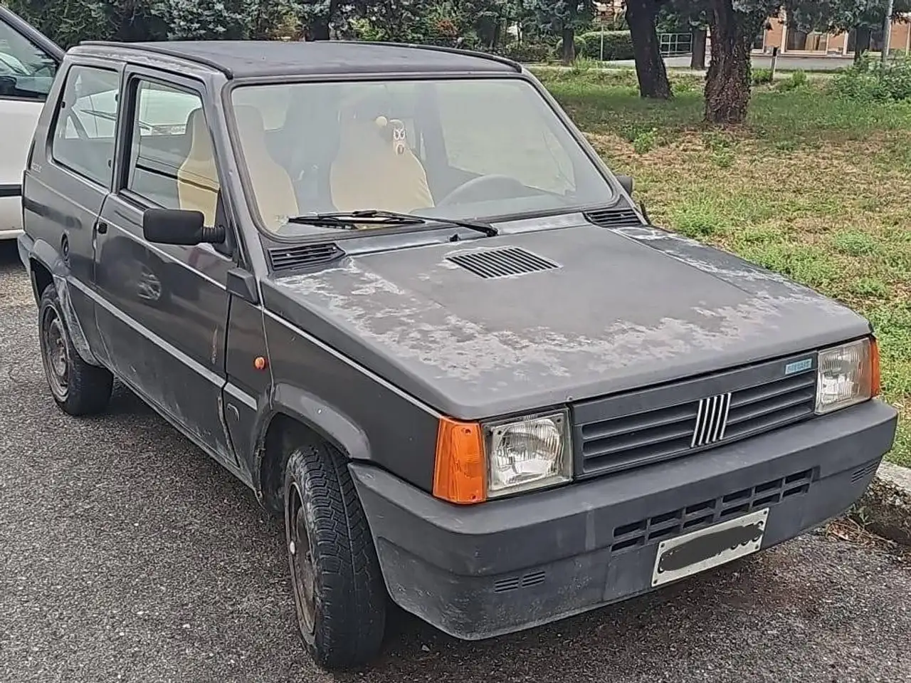 Fiat Panda 1.0 CL Davignon cat., foto 3