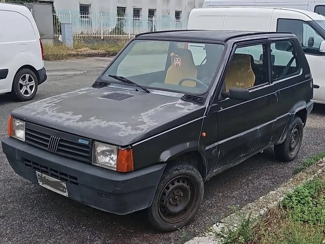 Fiat Panda 1.0 CL Davignon cat., foto 1