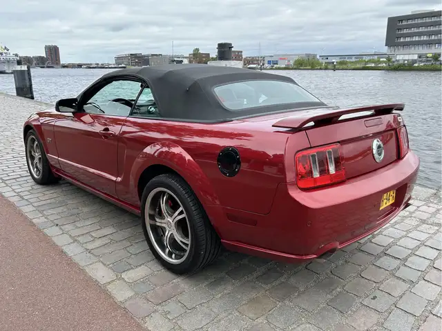 Ford Mustang view 5