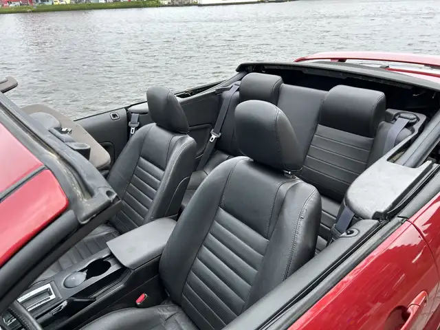 Ford Mustang view 8