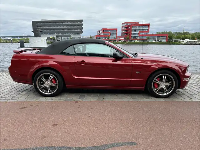 Ford Mustang view 10