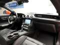 Ford Mustang Fastback 5.0 Ti-VCT GT Aut. Rojo - thumbnail 8