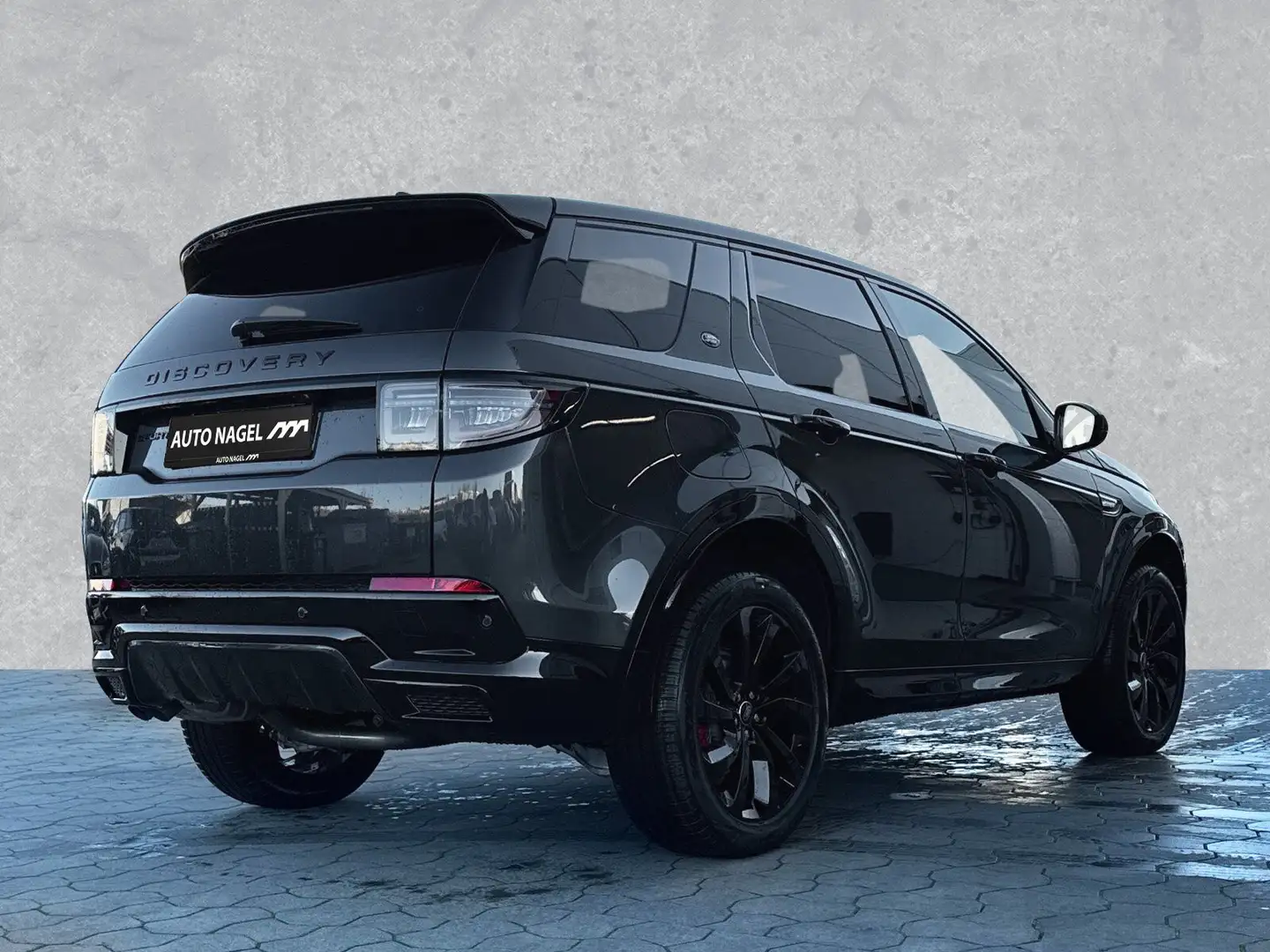 Land Rover Discovery Sport Discovery Sport D200 Dyn. SE 20"AHK Pano WinterP Сірий - 2