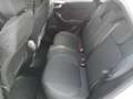 Ford Puma 1,0 EcoBoost Titanium Weiß - thumbnail 9