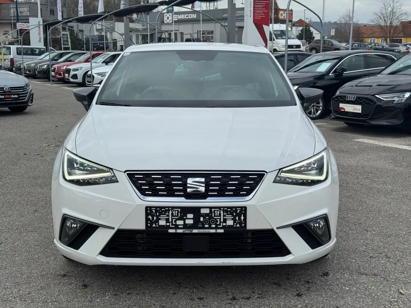 SEAT Ibiza Xcellence TDI CR Blanco - 2