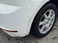 SEAT Ibiza Xcellence TDI CR Blanco - thumbnail 5