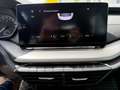 Skoda Octavia Ambition 2,0TDI Schwarz - thumbnail 19