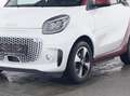 smart forTwo EQ cabrio EXCLUSIVE: IST VOLL,OFFEN+COOL! Weiß - thumbnail 4
