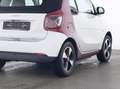 smart forTwo EQ cabrio EXCLUSIVE: IST VOLL,OFFEN+COOL! Weiß - thumbnail 5
