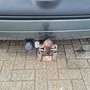 Renault Twingo 1.2 Emotion Vert - thumbnail 6