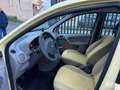 Fiat Panda Panda 1.2 TUTTO INCLUSO - FINANZIABILE - 154.000KM Beige - thumbnail 7