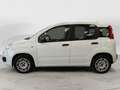 Fiat Panda Panda 1.2 Pop Blanc - thumbnail 2