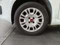 Fiat Panda Panda 1.2 Pop Blanc - thumbnail 17