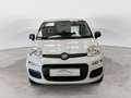 Fiat Panda Panda 1.2 Pop Blanc - thumbnail 4