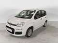 Fiat Panda Panda 1.2 Pop Blanc - thumbnail 1