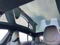 Tesla Model S 100D Kamera Pano 2. Hand Zwart - thumbnail 14