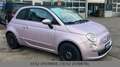 Fiat 500 Garantie Service Neu Cabrio PDC Violett - thumbnail 4