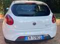 Fiat Bravo Bravo 1.4 16v MyLife 90cv Bianco - thumbnail 4