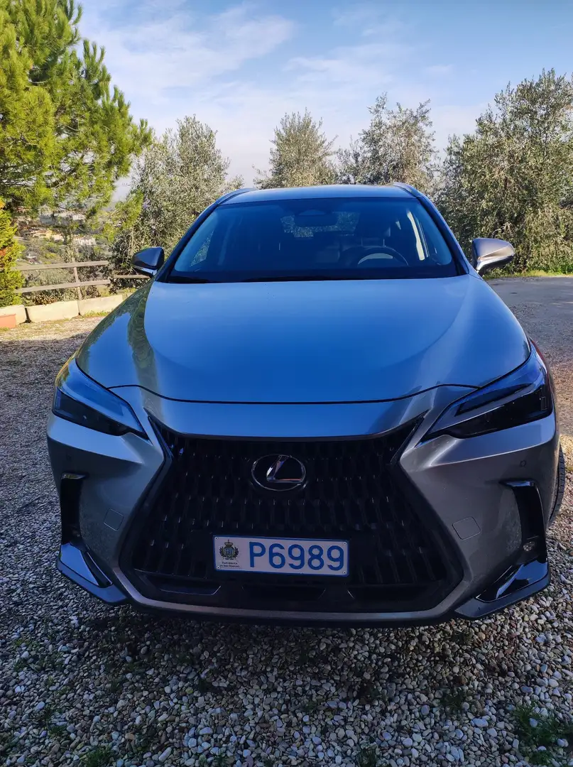 Lexus NX 450h+ 2.5 phev Premium+ 4wd e-cvt - 1