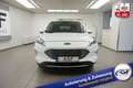 Ford Kuga PHEV Titanium X #Winter-Paket #Panorama-Dach #S... Weiß - thumbnail 3