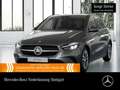 Mercedes-Benz B 250 4M PROGRESSIVE+360°+LED+TOTW+8G Grau - thumbnail 1