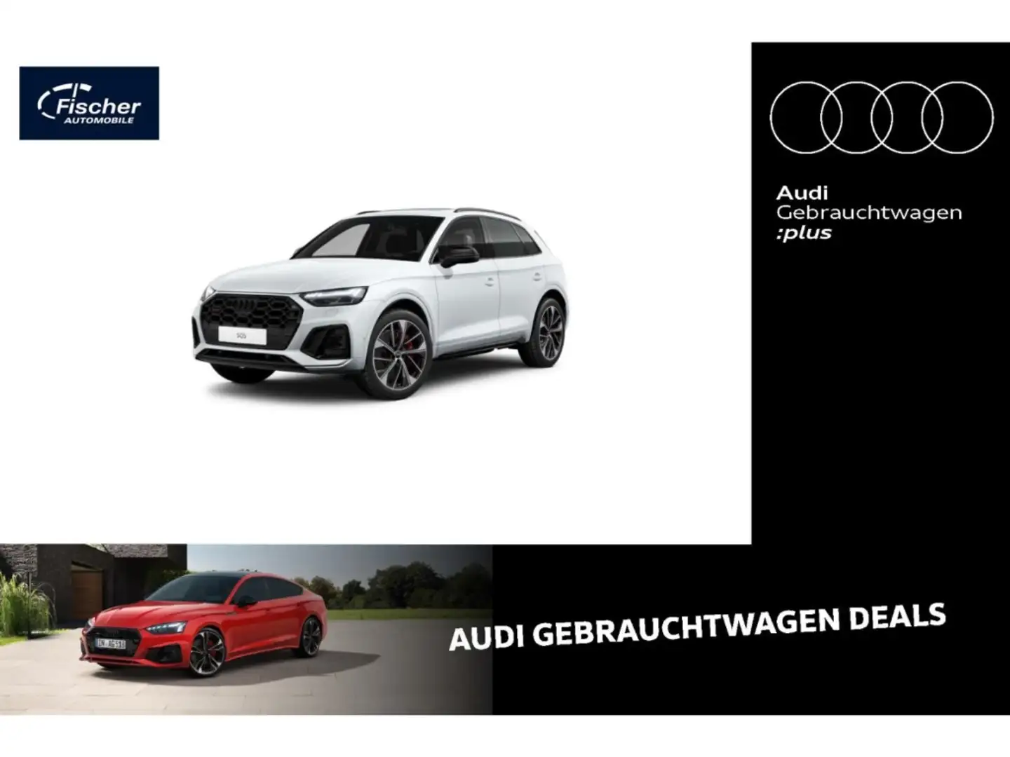 Audi SQ5 TDI quattro Weiß - 1