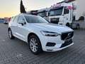 Volvo XC60 XC60 D3 Momentum Pro Weiß - thumbnail 8