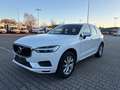 Volvo XC60 XC60 D3 Momentum Pro Weiß - thumbnail 2