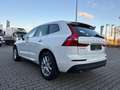 Volvo XC60 XC60 D3 Momentum Pro Weiß - thumbnail 4