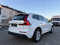 Volvo XC60 XC60 D3 Momentum Pro Weiß - thumbnail 6