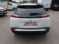 Peugeot 2008 BlueHDi 130 S&S GT EAT8 Weiß - thumbnail 15