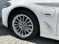 BMW 530 e xDr.T.Sports.Laser ACC SuView.HUD Lenkradh Blanco - thumbnail 16